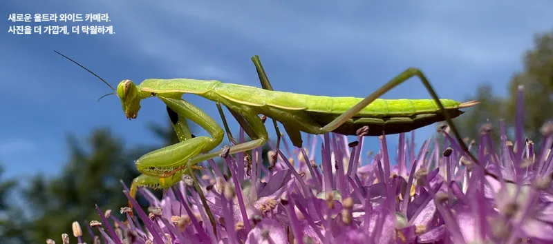 아이폰16 카메라