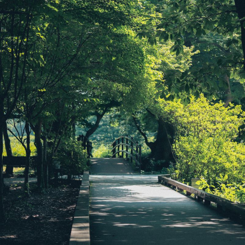 선운산도립공원