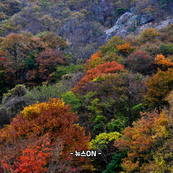 11월 가볼만한 산