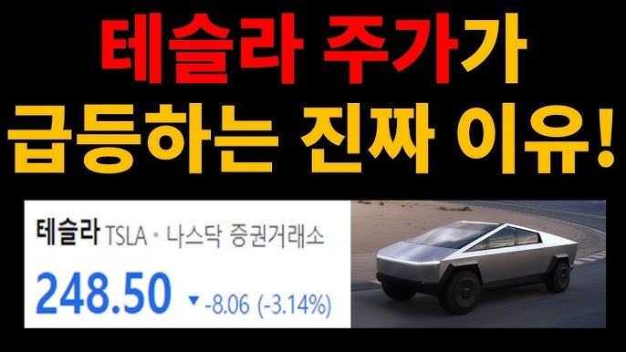 테슬라 주가 급등 이유와 향후 전망