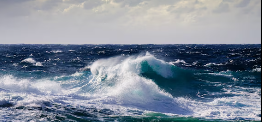 높은 파도가 치는 바다 사진
