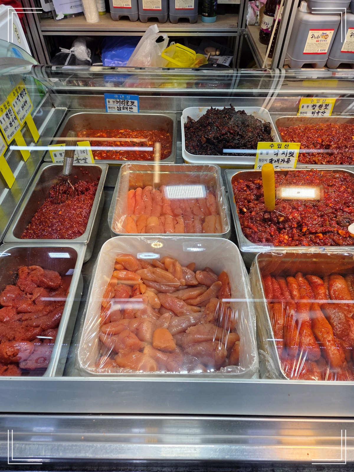 가락시장-수산물 시장-젓갈코너-다양한 젓갈들-저렴한 파지 백명란