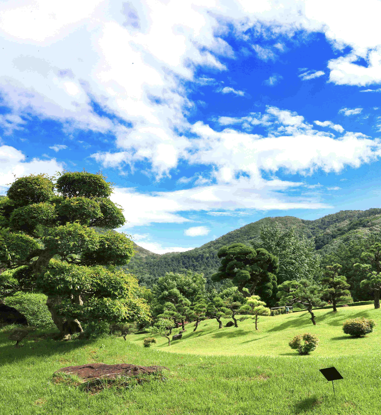 아침고요수목원 정원