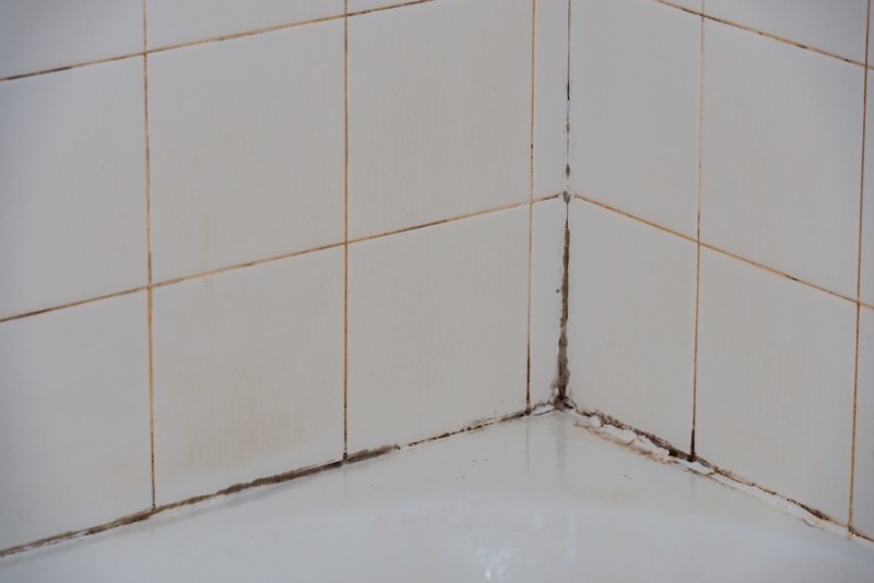 화장실 물때 곰팡이