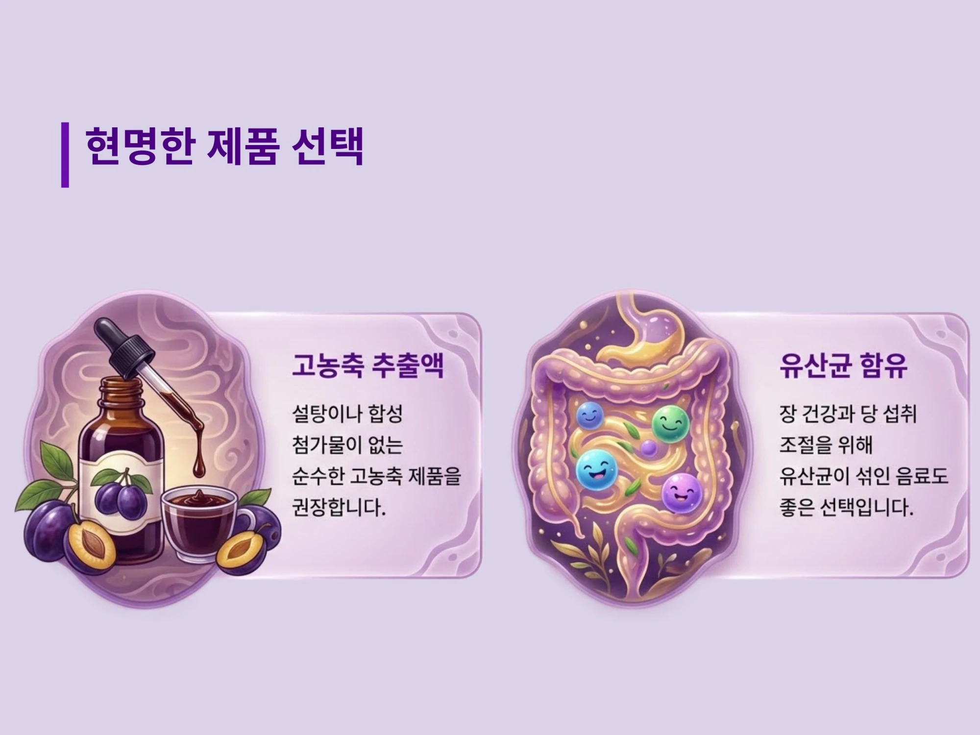 첨가물 없는 고농축 추출액 제품과 장 건강을 위한 유산균 함유 제품을 비교하여 나에게 맞는 제품을 선택하도록 돕는 가이드