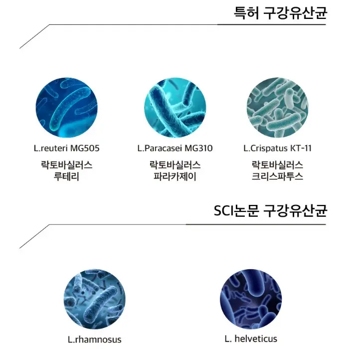 덴티오클린 내돈내산 후기 복용법 효과 부작용 가격 파는곳