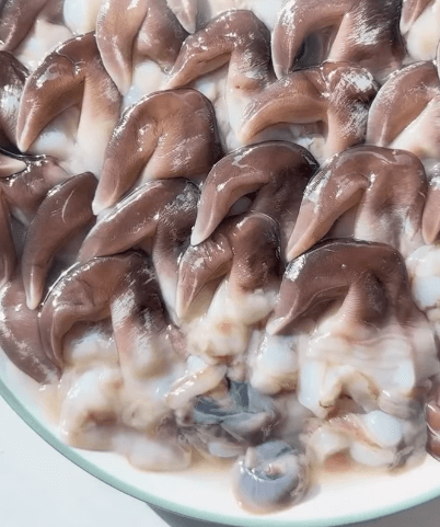 남당리 새조개 축제