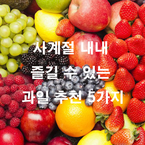 사계절 내내 즐길 수 있는 과일 추천 5가지
