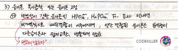 음이온교환
