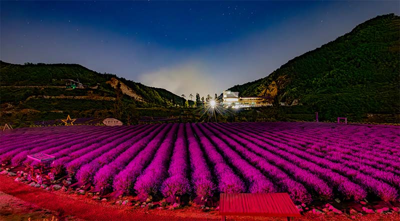 낮보다 아름다운 밤, 야간 개장까지!