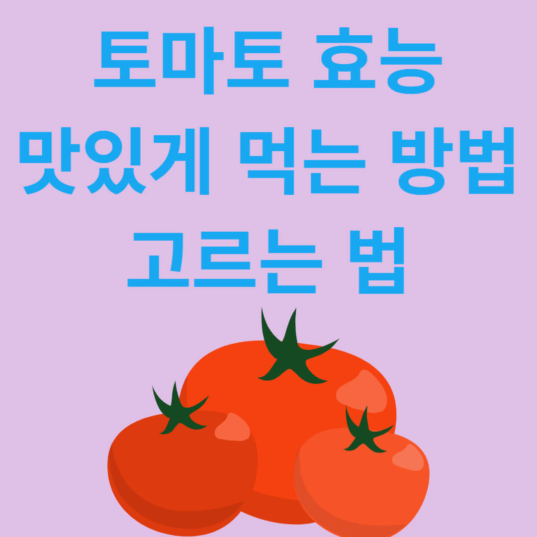 수분 천국 토마토의 효능과 전문가처럼 고르는 법