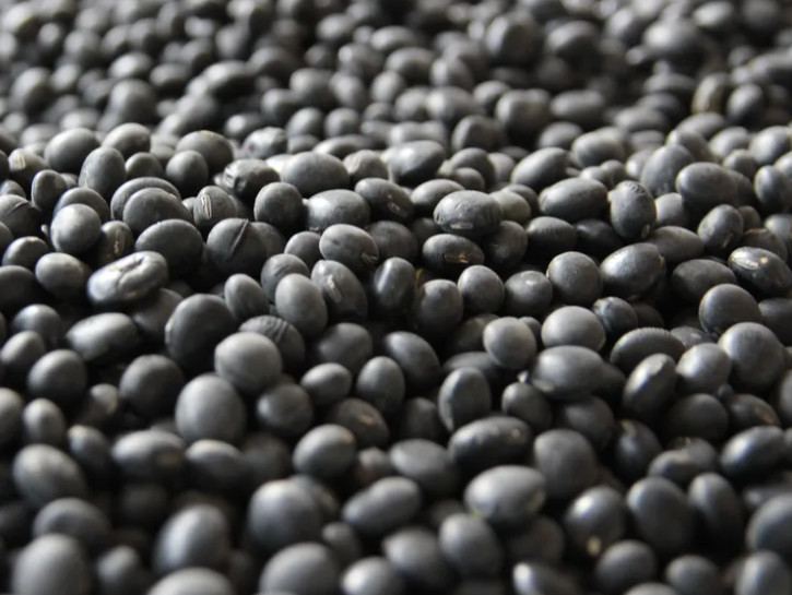 검은콩의 효능과 부작용