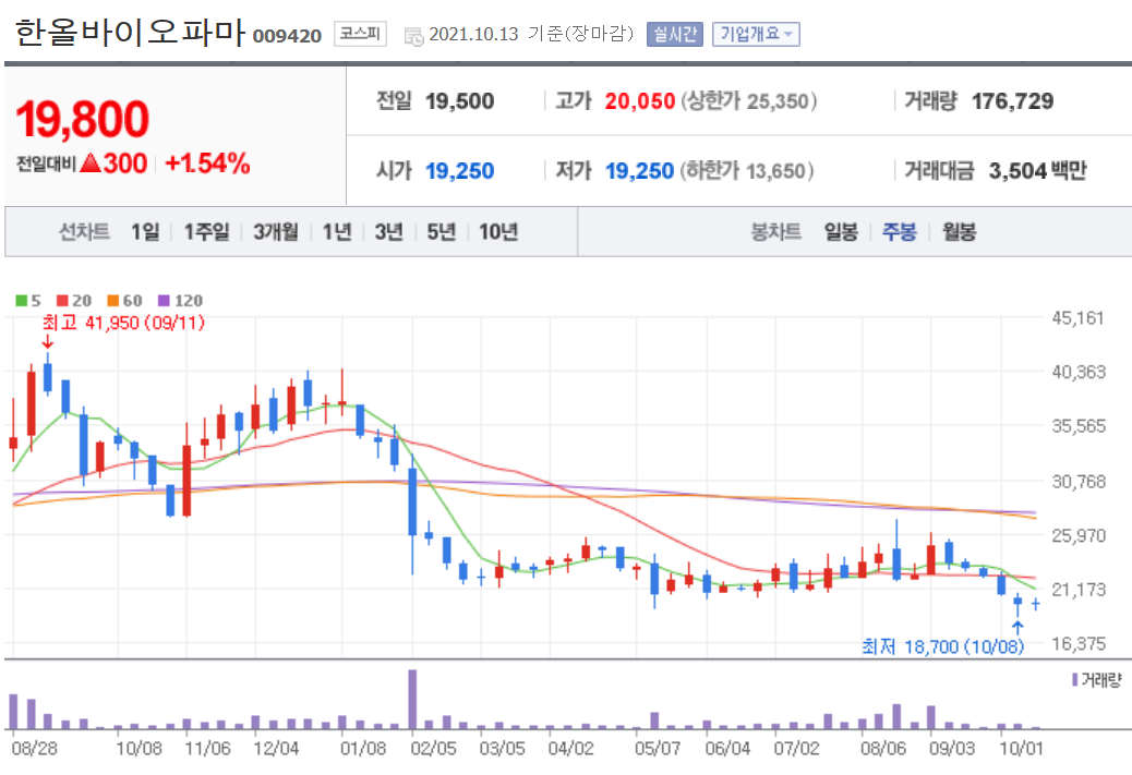 머크 관련주 대장주