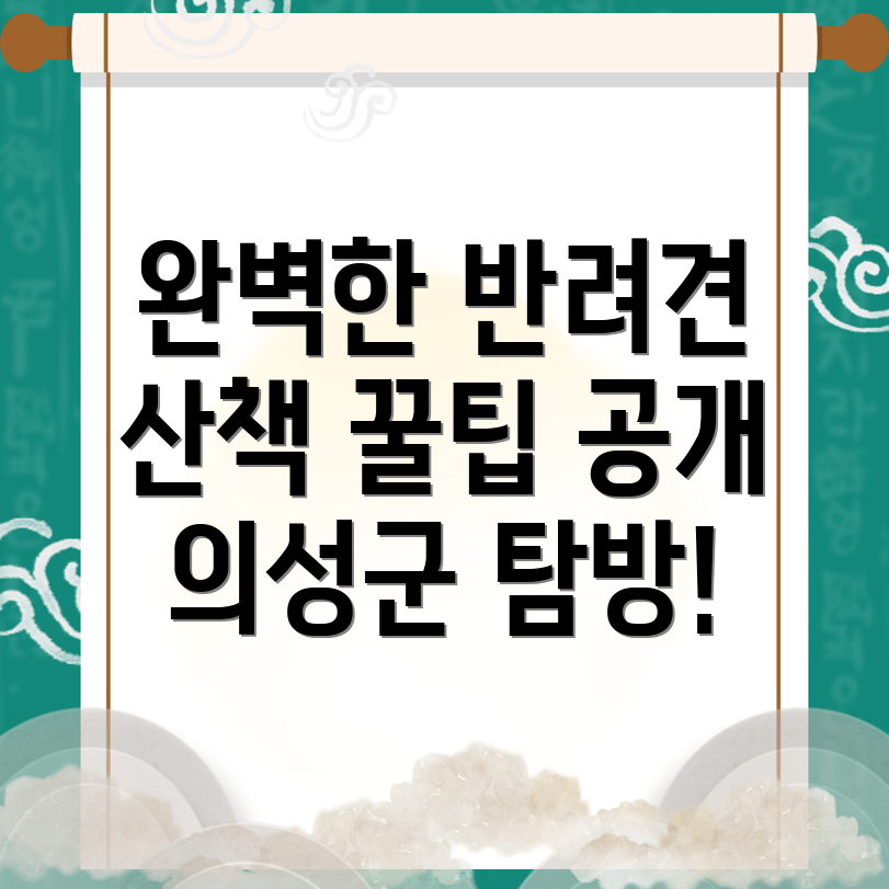 강아지 산책