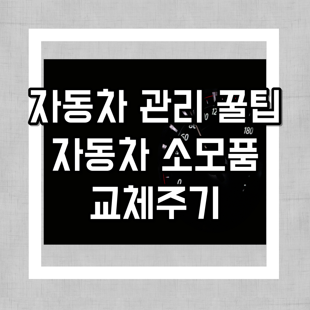 자동차 관리 꿀팁, 자동차 소모품 교체주기