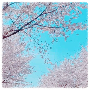 불당천