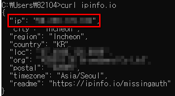 외부 아이피 확인 예시 화면