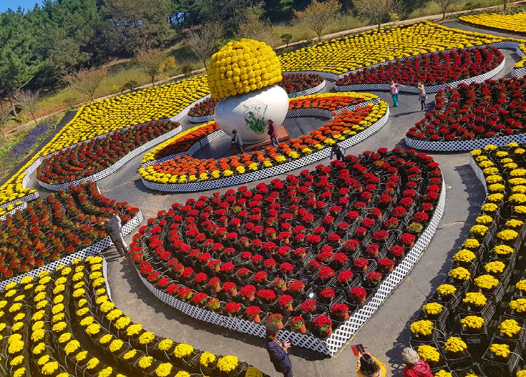 코리아플라워파크