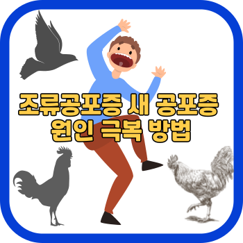 조류공포증 새 공포증 원인 극복 방법