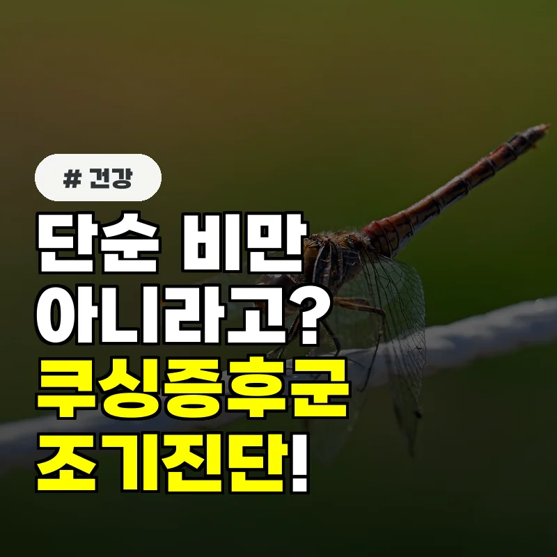 단순 비만으로 오해하기 쉬운 쿠싱증후군, 조기 진단 놓치면 안 되는 증상 4가지