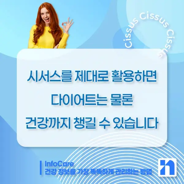 시서스 효능