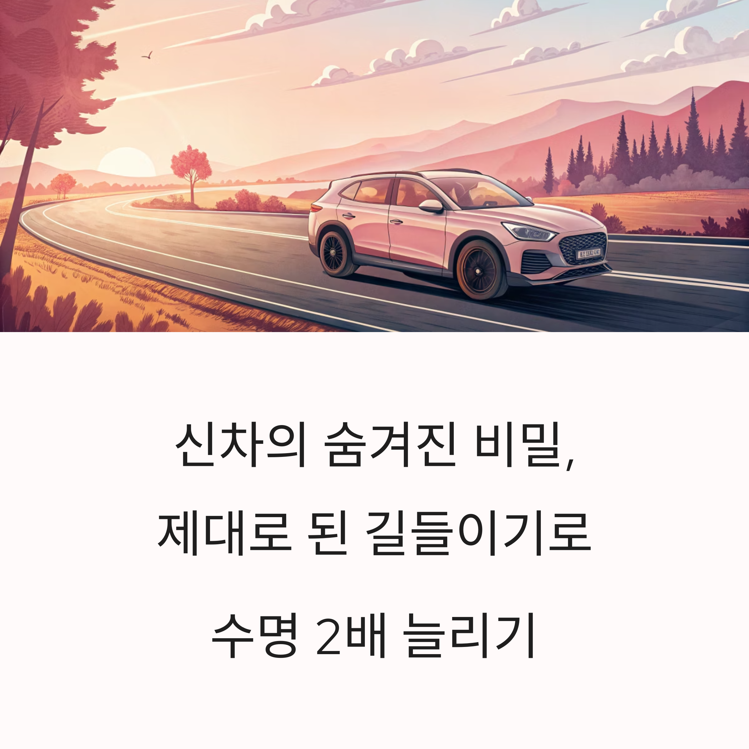 신차 길들이기