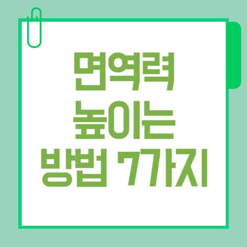면역력 높이는 방법 7가지, 2025년 건강관리 핵심 가이드