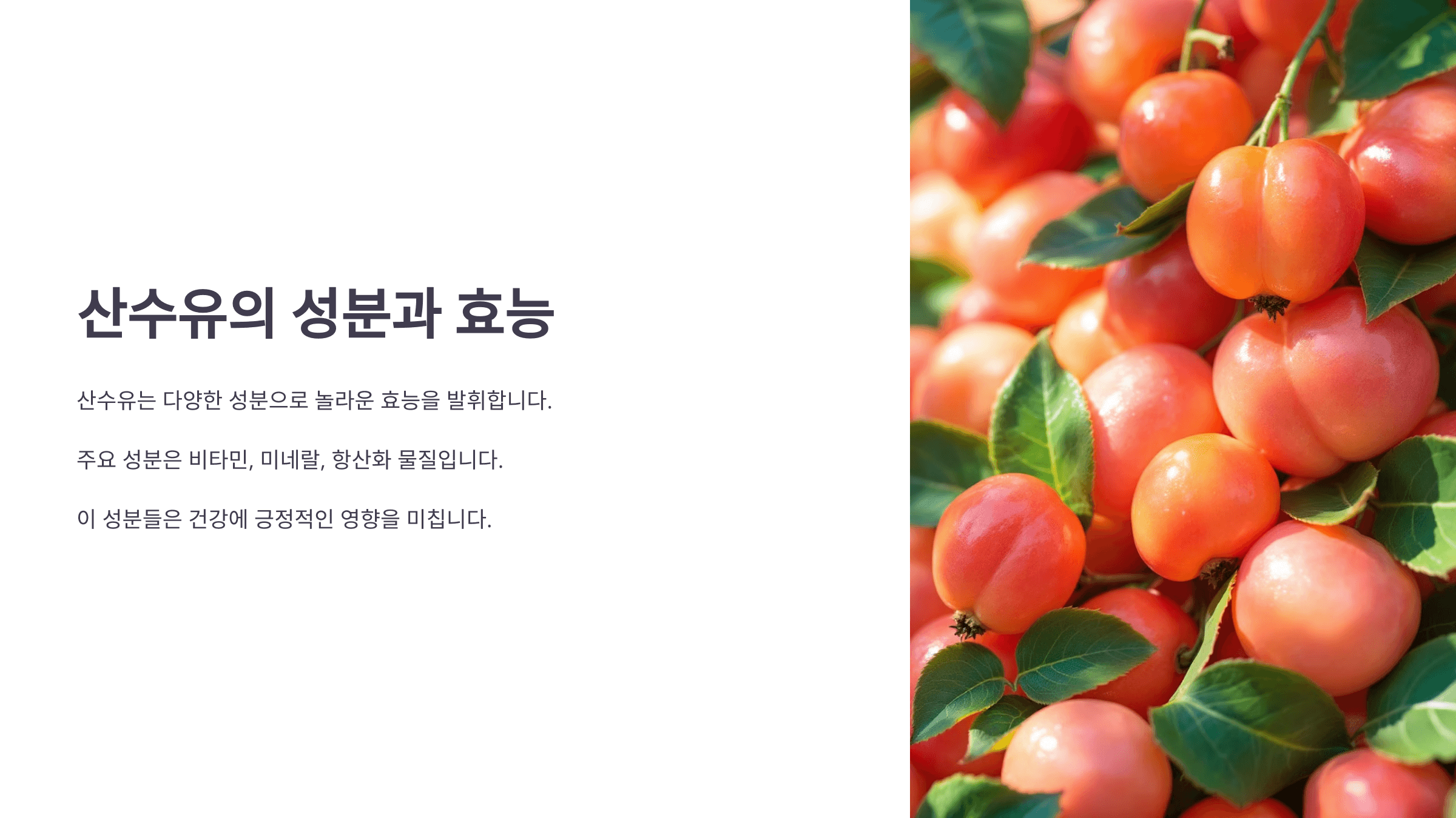 산수유 효능과 관련된 사진입니다.