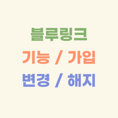 블루링크-기능,-가입,-요금제-변경,-해지-방법