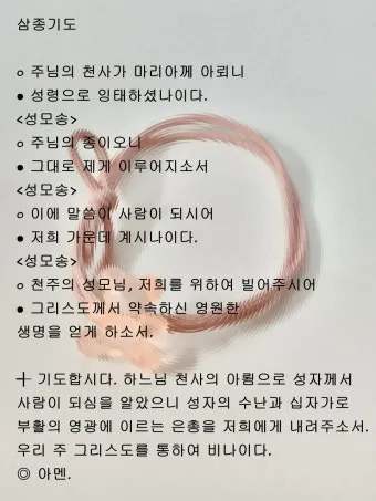 천주교 예수님 부활을 기념하는 기쁨의 부활 삼종기도_12