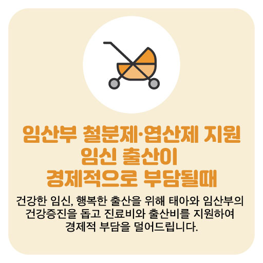임산부 철분제·엽산제 지원