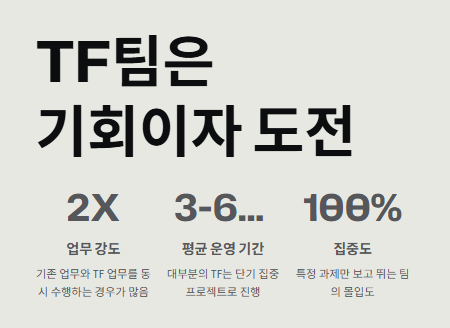 TF팀 (task force)의미