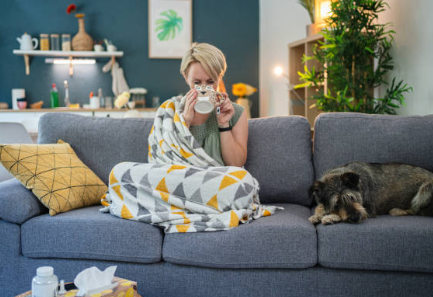 아데노 바이러스