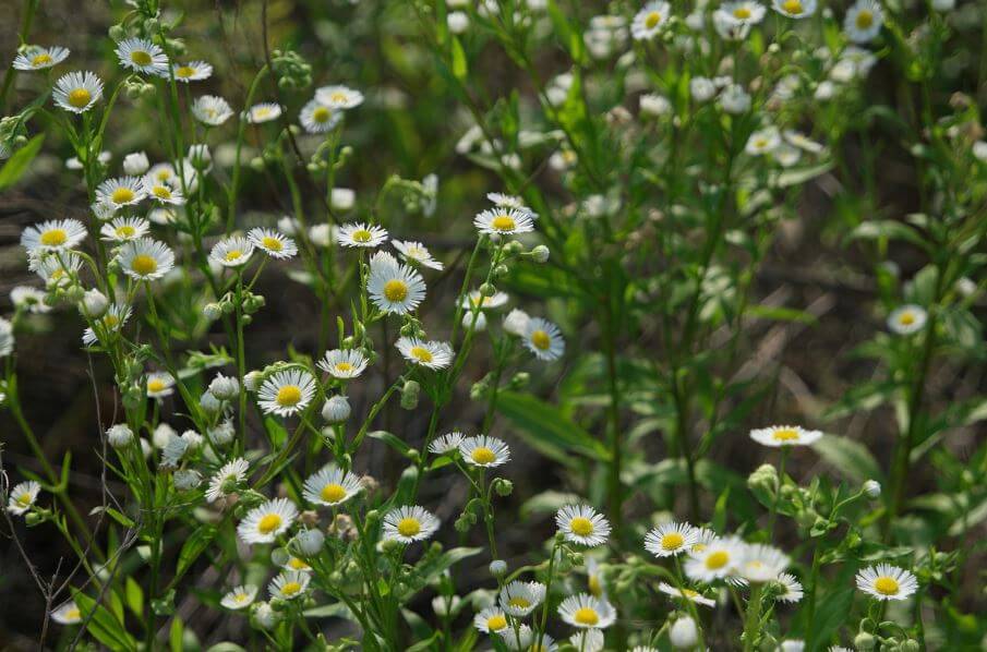2025 덕수궁 &#39;밤의 석조전&#39; 티켓 예매(추첨제 로 진행)