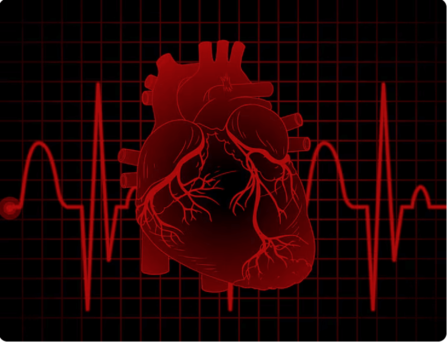 심장 박동수를 표시하는 모습