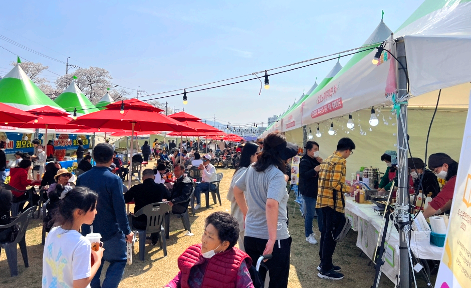 정읍 벚꽃축제