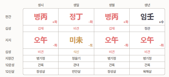 화(火) 기운이 많은 사주