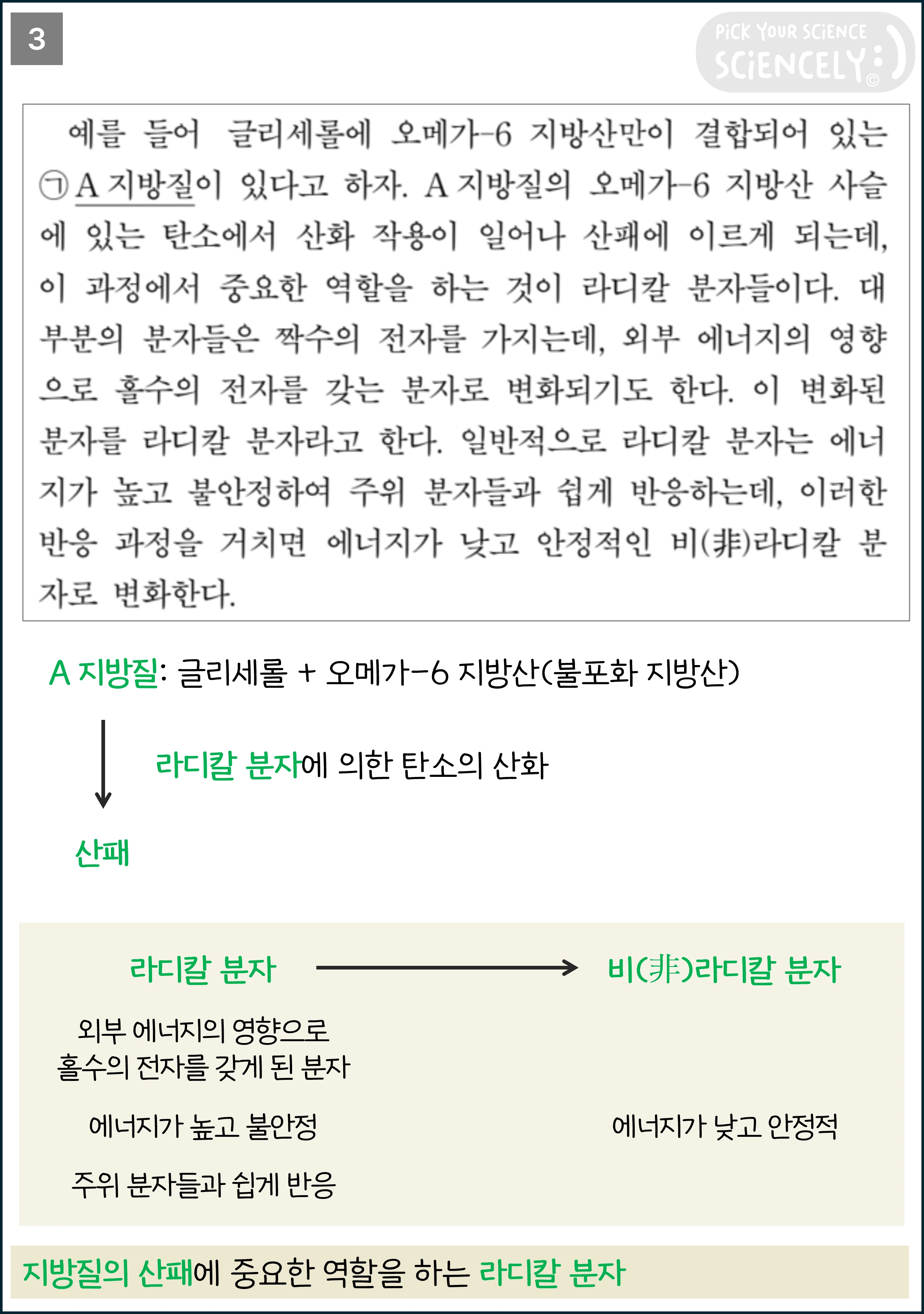 국어 독서 과학기술, 국어 비문학 과학기술, 16학년도 고3 9평 A형 Q19-21, 지방질의 산패, 예를 들어, 글리세롤에 오메가-6 지방산만이 결합되어 있는 A 지방질이 있다고 하자.