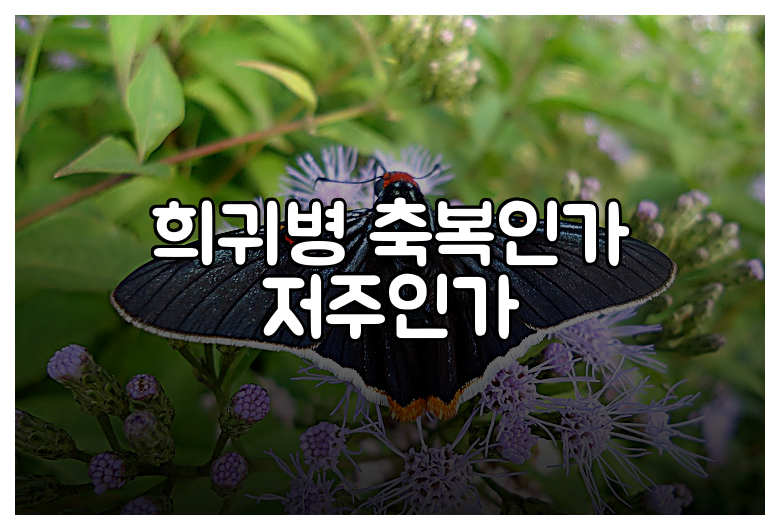 희귀병 축복인가 저주인가