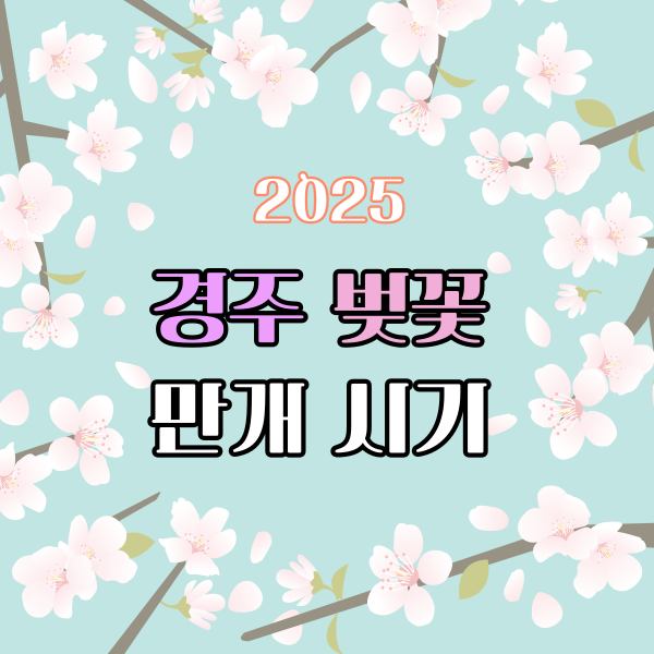 경주벚꽃만개시기