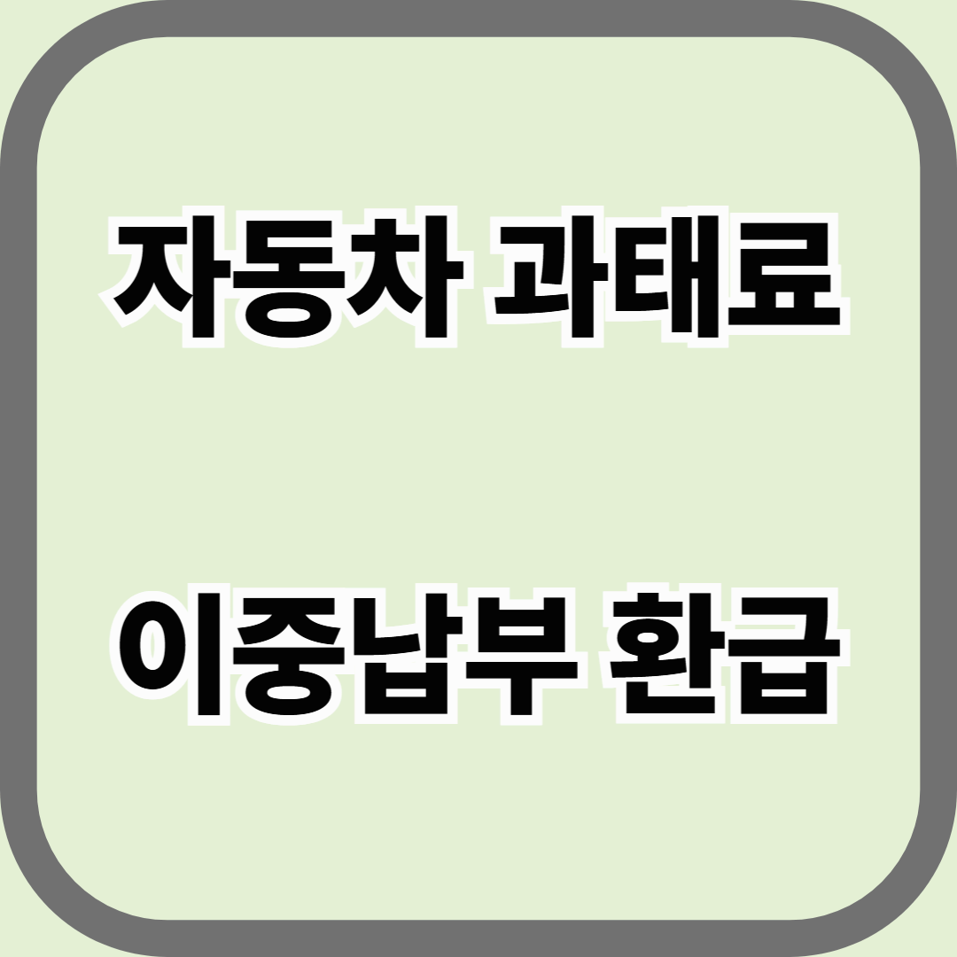자동차 과태료 이중납부 환급, 모르고 지나치면 돈 못 돌려받습니다
