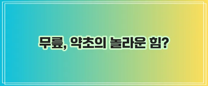 무릎 관절에 좋은 약초 분명 효과가 있습니다