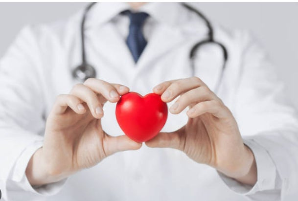 베르베린 혈당조절 심혈관건강 체중관리