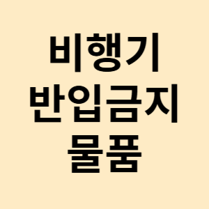 비행기 반입 금지 물품