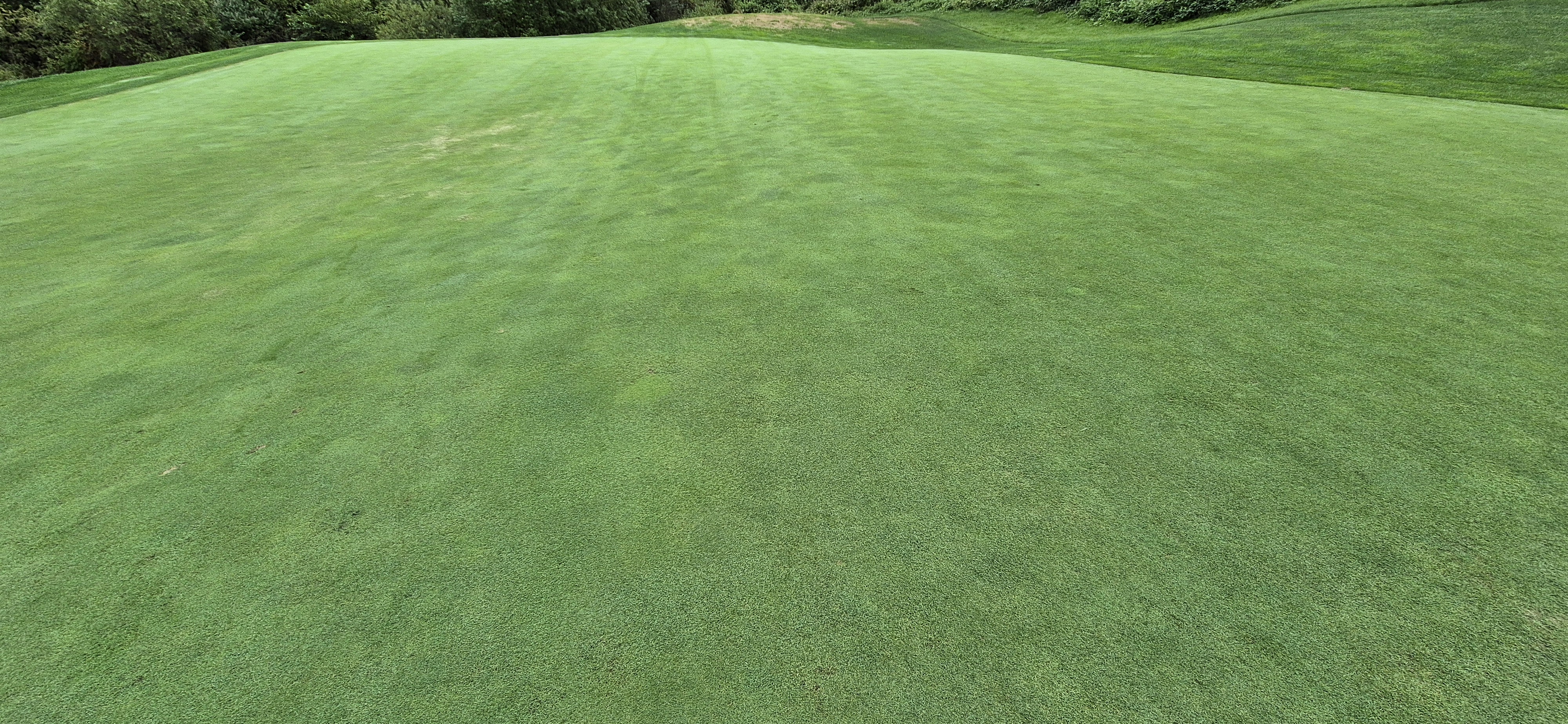 더플레이어스cc