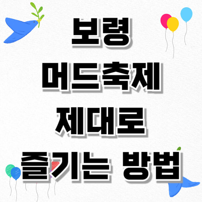 보령 머드축제, 제대로 즐기는 방법