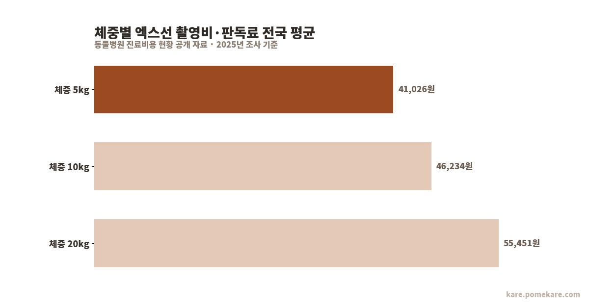 체중별 촬영비 평균