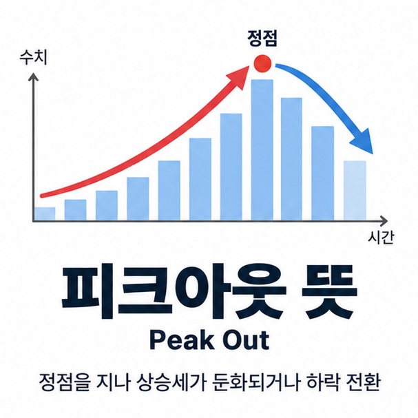 피크아웃 뜻과 정점을 찍은 뒤 하락 방향으로 바뀌는 그래프를 보여주는 경제 교육 이미지