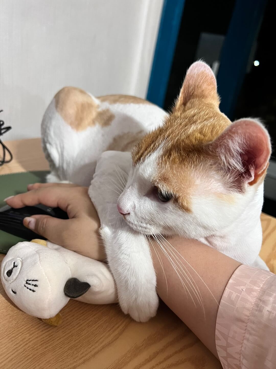 엄마 손 잡고 있는 사진