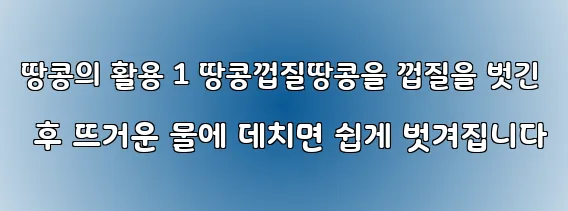 땅콩의 활용 1 땅콩껍질땅콩을 껍질을 벗긴 후 뜨거운 물에 데치면 쉽게 벗겨집니다